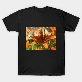 Beautiful photograph of a butterfly on an orange lily flower T-Shirt